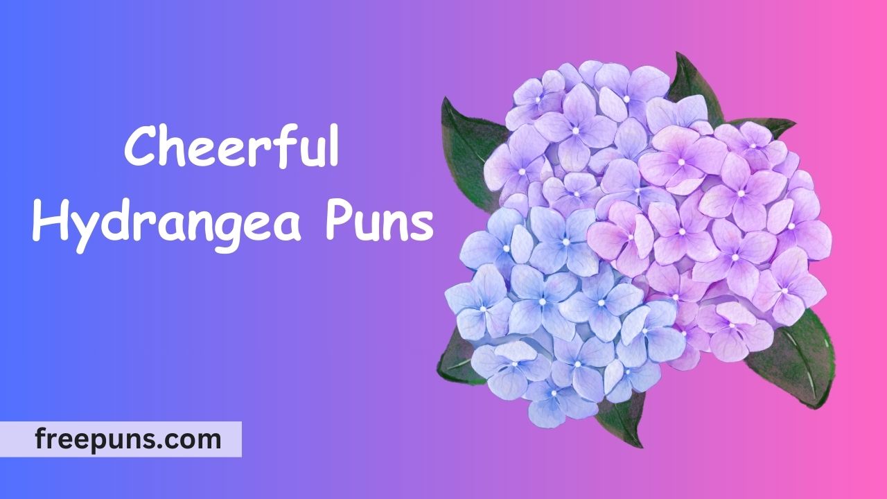 Hydrangea Puns