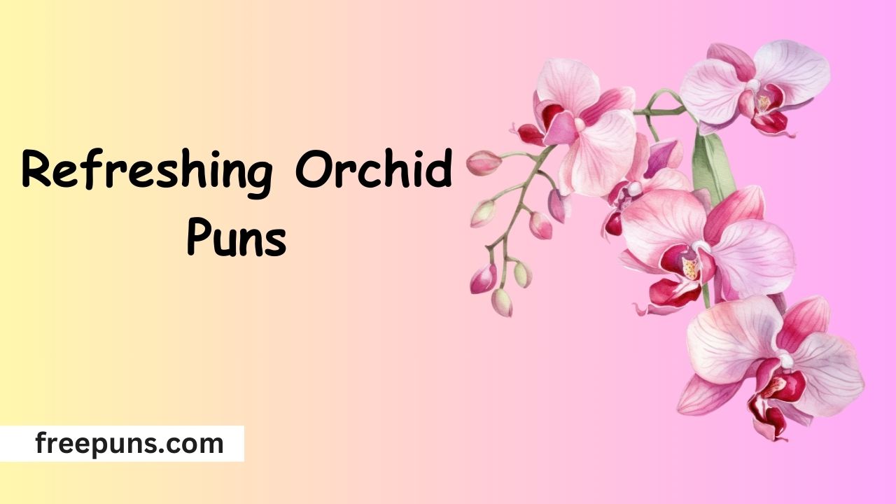 Refreshing Orchid Puns